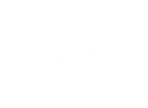 bougainvillea - logo